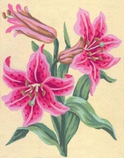 Gobelin G 14x18cm Rožnate lilije art.3.106
